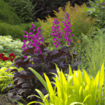 Ozdób swój ogród za pomocą wanny ogrodowej