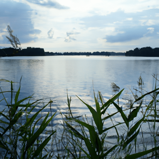 Jezioro Pogoria III - Raj dla miłośników wodnych sportów i wypoczynku na Śląsku