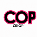 Cropp – trendowy sklep który oczarowuje stylowymi propozycjami