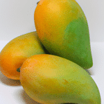 Mango - Królowa owoców tropikalnych: historia właściwości zdrowotne i przepisy