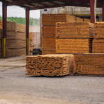 Przemysł drzewny w Świebodzinie: Sektor pełen potencjału i możliwości rozwoju