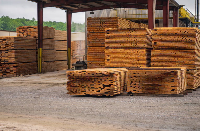 Przemysł drzewny w Świebodzinie: Sektor pełen potencjału i możliwości rozwoju