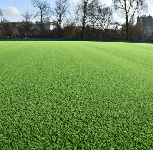 Czy sztuczna trawa w Poznaniu jest dobrym wyborem?